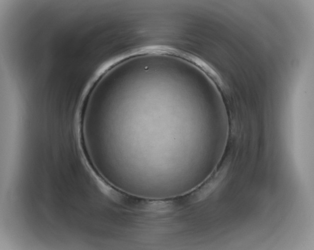 X0000115521430200911061408