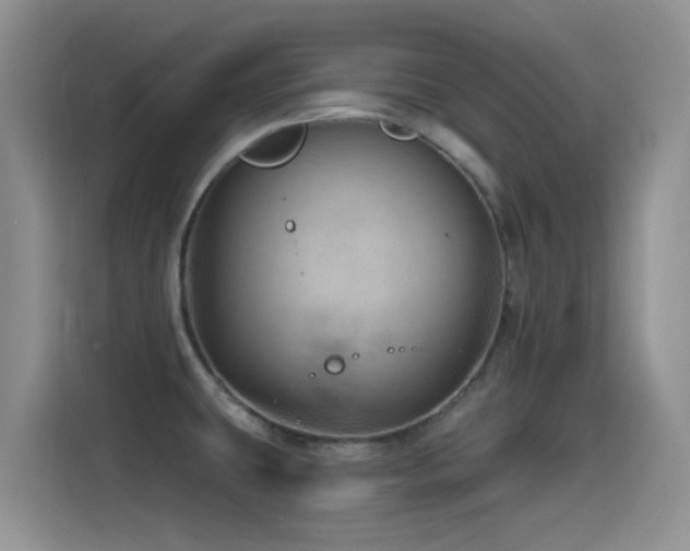 X0000115521431200911061408