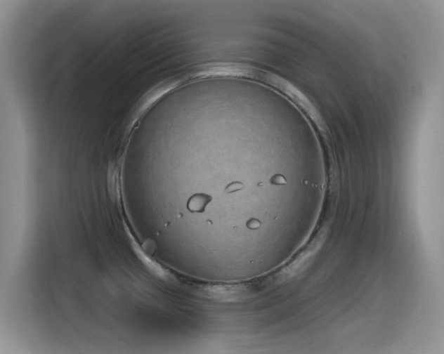 X0000115521433200911061408
