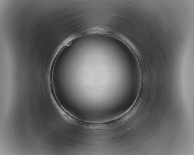 X0000115521434200911061408