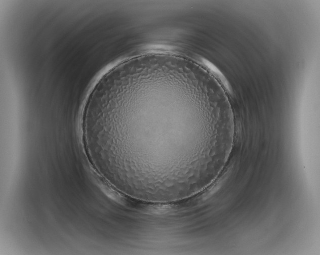 X0000115521435200911061408
