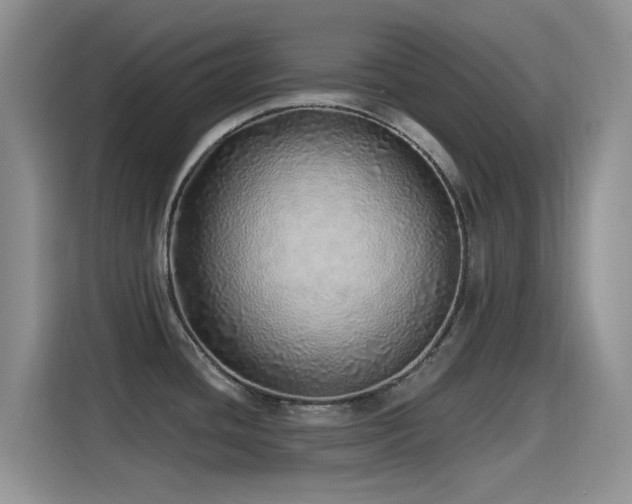 X0000115521436200911061408