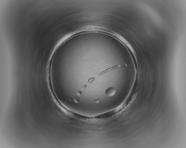 X0000115521437200911061408