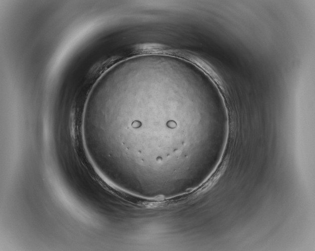 X0000115521438200911061408
