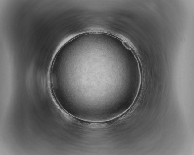 X0000115521440200911061408