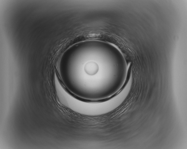 X0000115521441200911061408