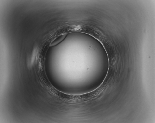 X0000115521442200911061408