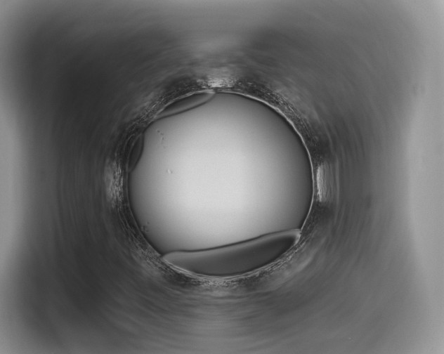 X0000115521443200911061408