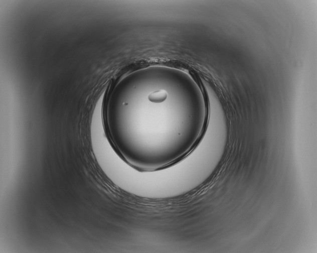X0000115521444200911061408