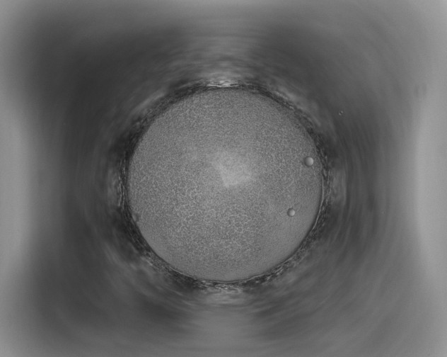 X0000115521446200911061408