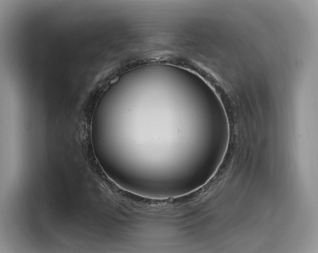 X0000115521447200911061408