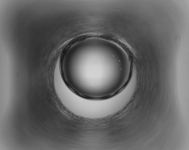 X0000115521448200911061408