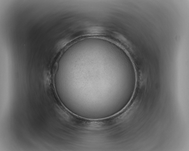 X0000115521449200911061408