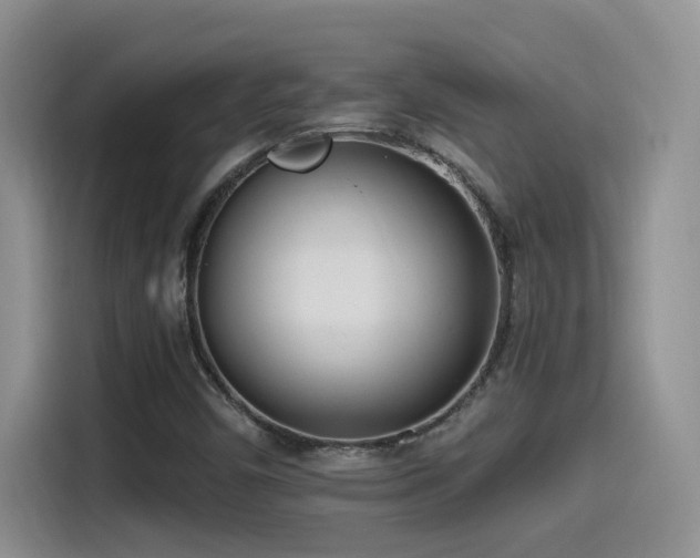 X0000115521450200911061408