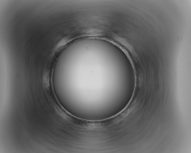 X0000115521451200911061408