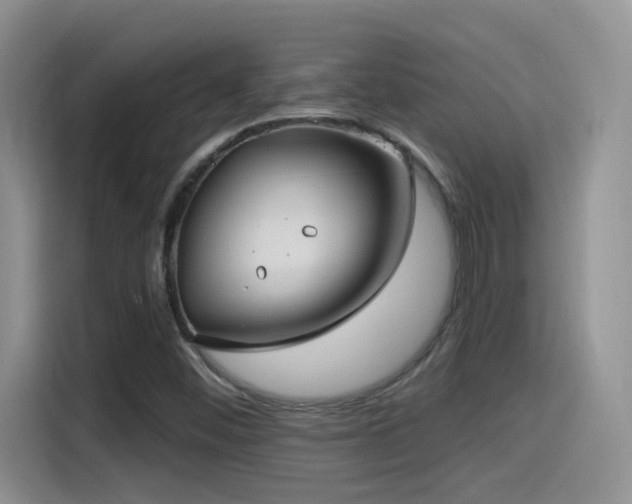 X0000115521452200911061408