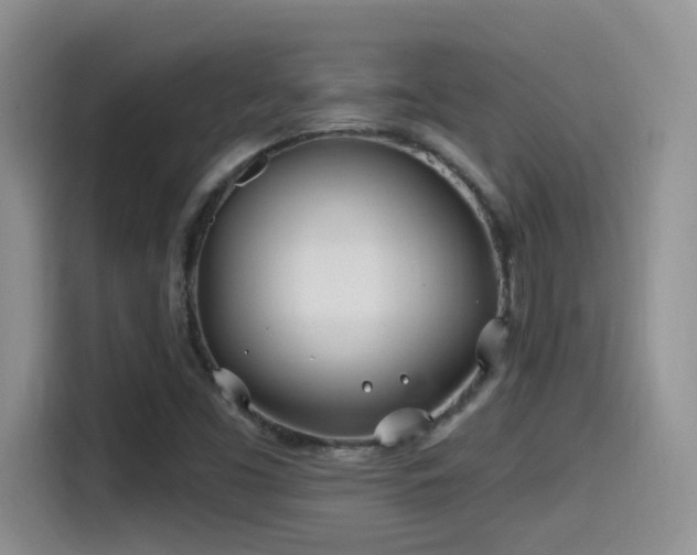 X0000115521453200911061408