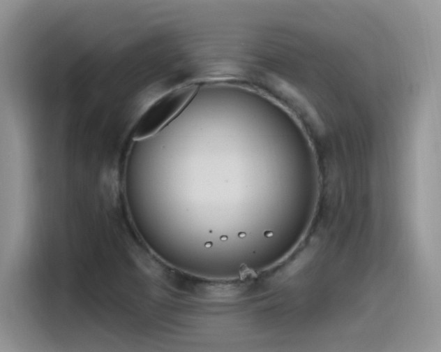 X0000115521457200911061408