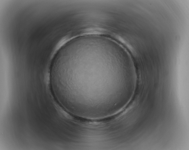 X0000115521459200911061407