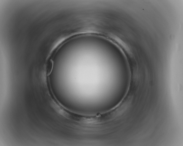 X0000115521460200911061407