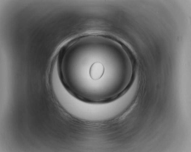 X0000115521461200911061407