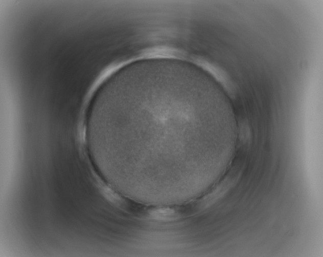 X0000115521462200911061407