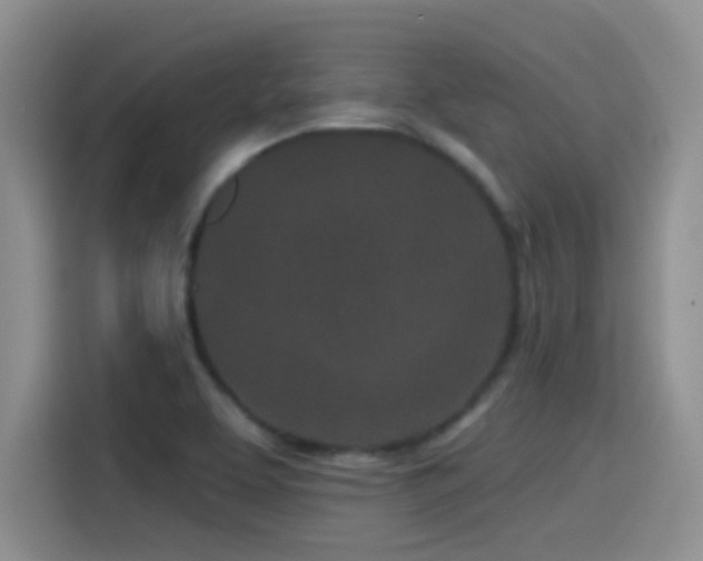 X0000115521463200911061407