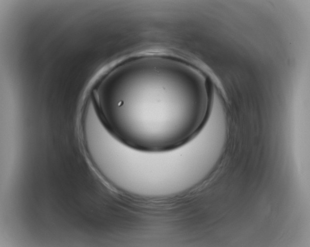 X0000115521464200911061407