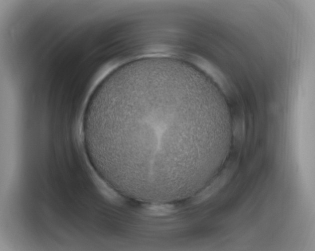X0000115521466200911061407