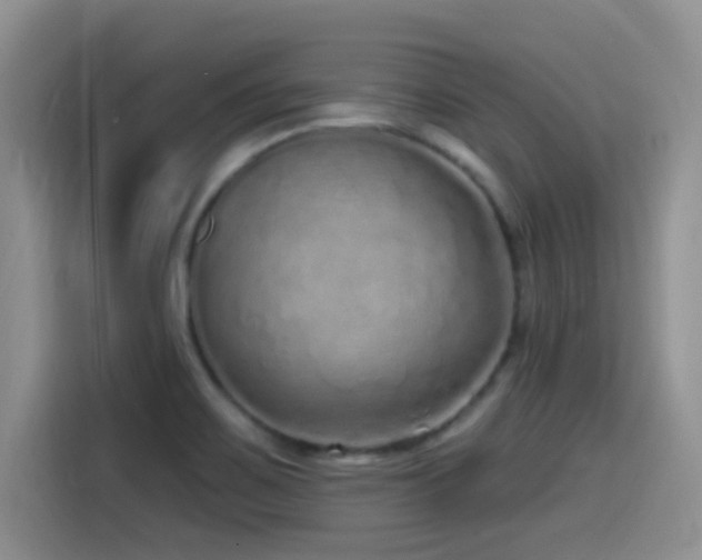 X0000115521467200911061407