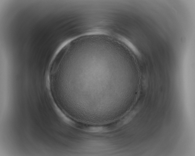 X0000115521468200911061407