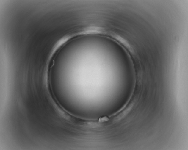 X0000115521469200911061407