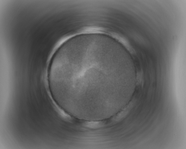 X0000115521470200911061407