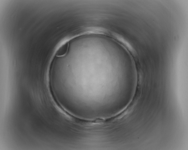 X0000115521471200911061407