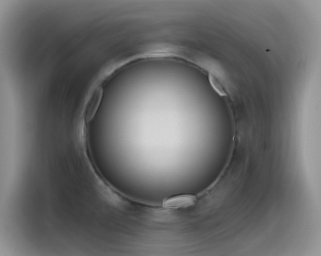 X0000115521472200911061407