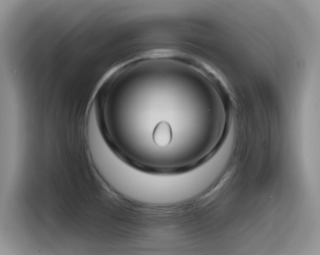 X0000115521473200911061407