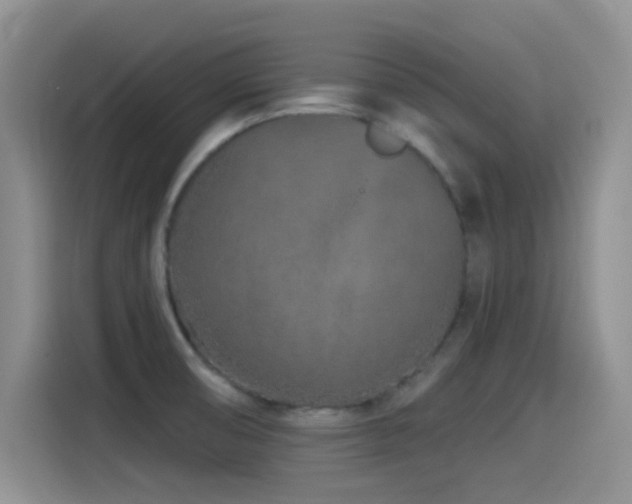 X0000115521474200911061407