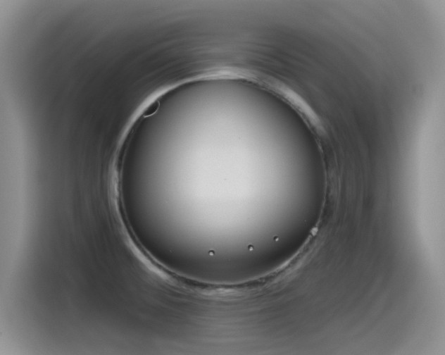 X0000115521476200911061407