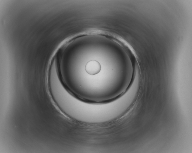 X0000115521477200911061407