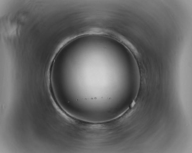 X0000115521479200911061407