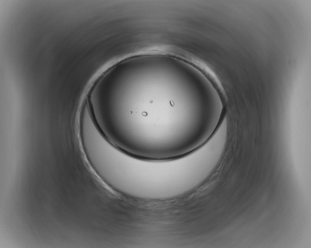 X0000115521480200911061407