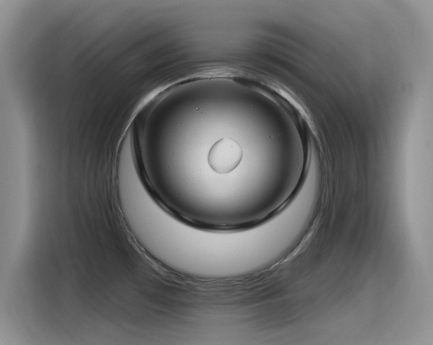 X0000115521481200911061407