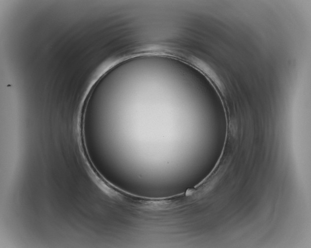 X0000115521482200911061407