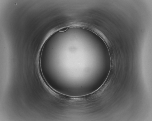 X0000115521483200911061407