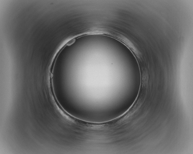 X0000115521484200911061407