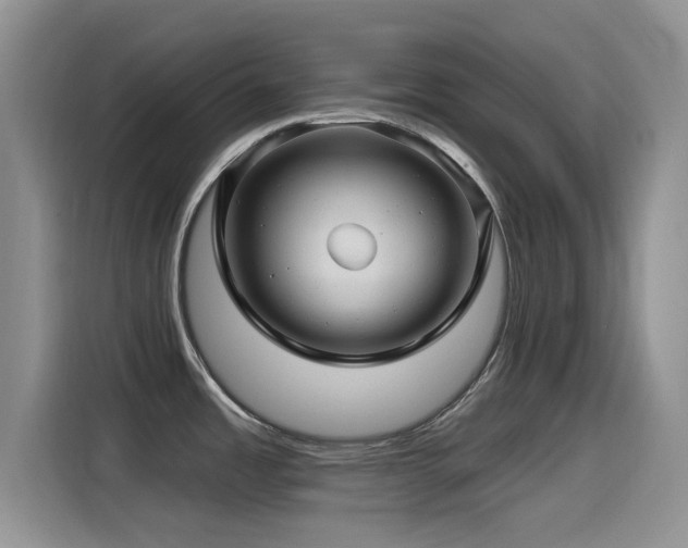 X0000115521485200911061407