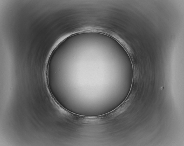 X0000115521486200911061407