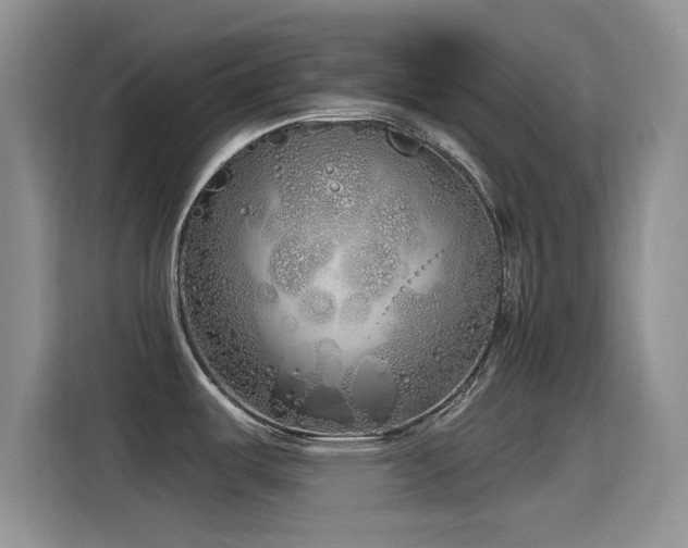 X0000115521487200911061407