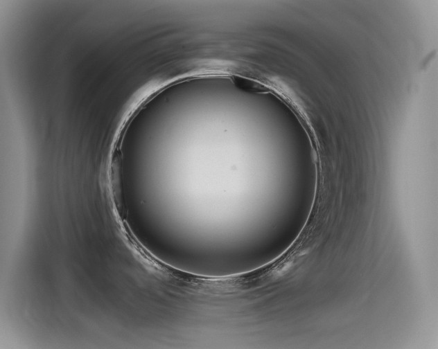 X0000115521488200911061407