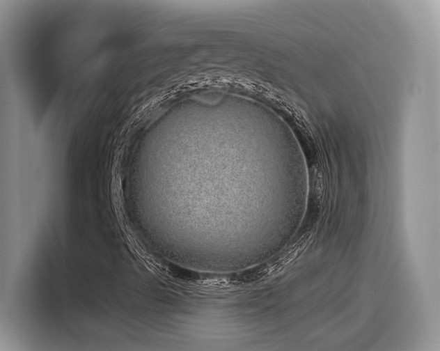 X0000115521489200911061406